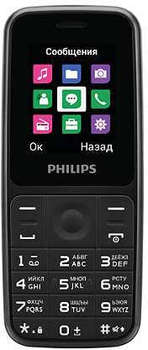 Сотовый телефон Philips Xenium E125 867000158843