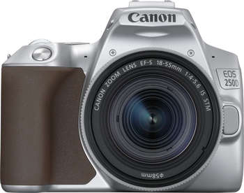 Фотокамера Canon EOS 250D серебристый 24.2Mpix EF-S 18-55mm f/1:4-5.6 IS STM 3" 4K Full HD SDXC Li-ion