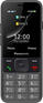 Сотовый телефон Panasonic Мобильный телефон TF200 32Mb серый моноблок 2Sim 2.4" 240x320 0.3Mpix GSM900/1800 MP3 FM microSD max32Gb