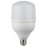 Лампа ЭРА Б0027004 светодиодная STD LED POWER T100-30W-6500-E27 E27 / Е27 30 Вт колокол холодный дневной свет