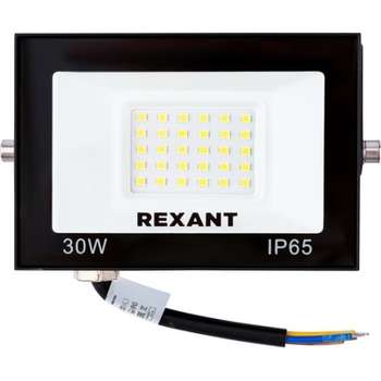 Садовый светильник REXANT 605-032 Прожектор светодиодный СДО 30Вт 2400Лм 4000K нейтральный свет, черный корпус