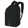 Рюкзак HEIKKI CHOICE  универсальный, 2 отделения, багажная лента, черный, 42х32х13 см, 272537