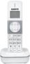 Телефон SANYO Р/Dect RA-SD1102RUWH белый/серебристый АОН